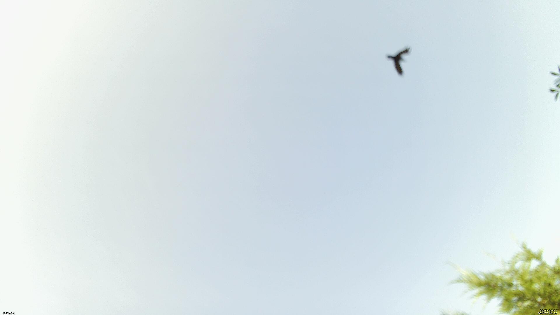 Sky photo 185