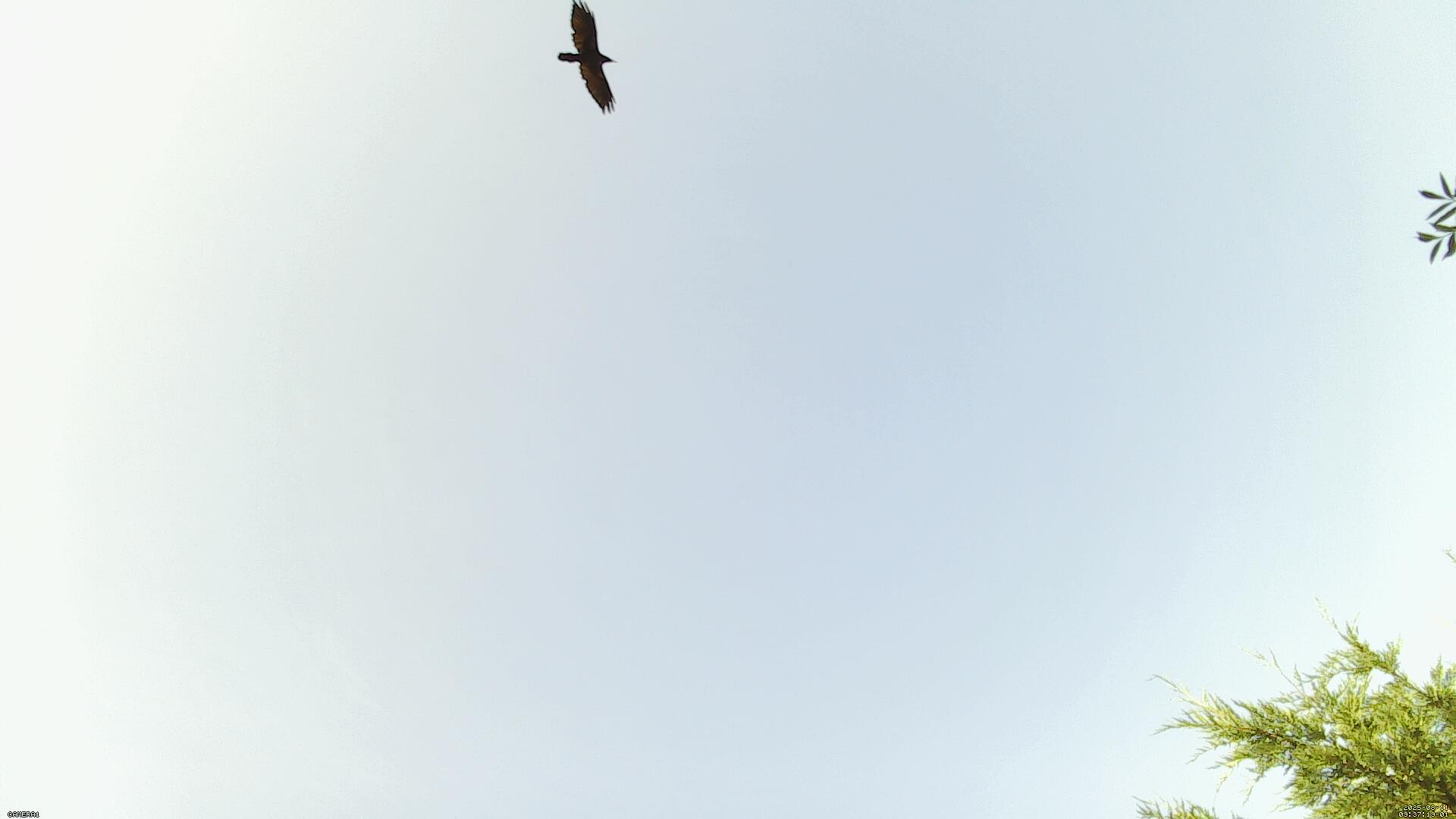 Sky photo 184