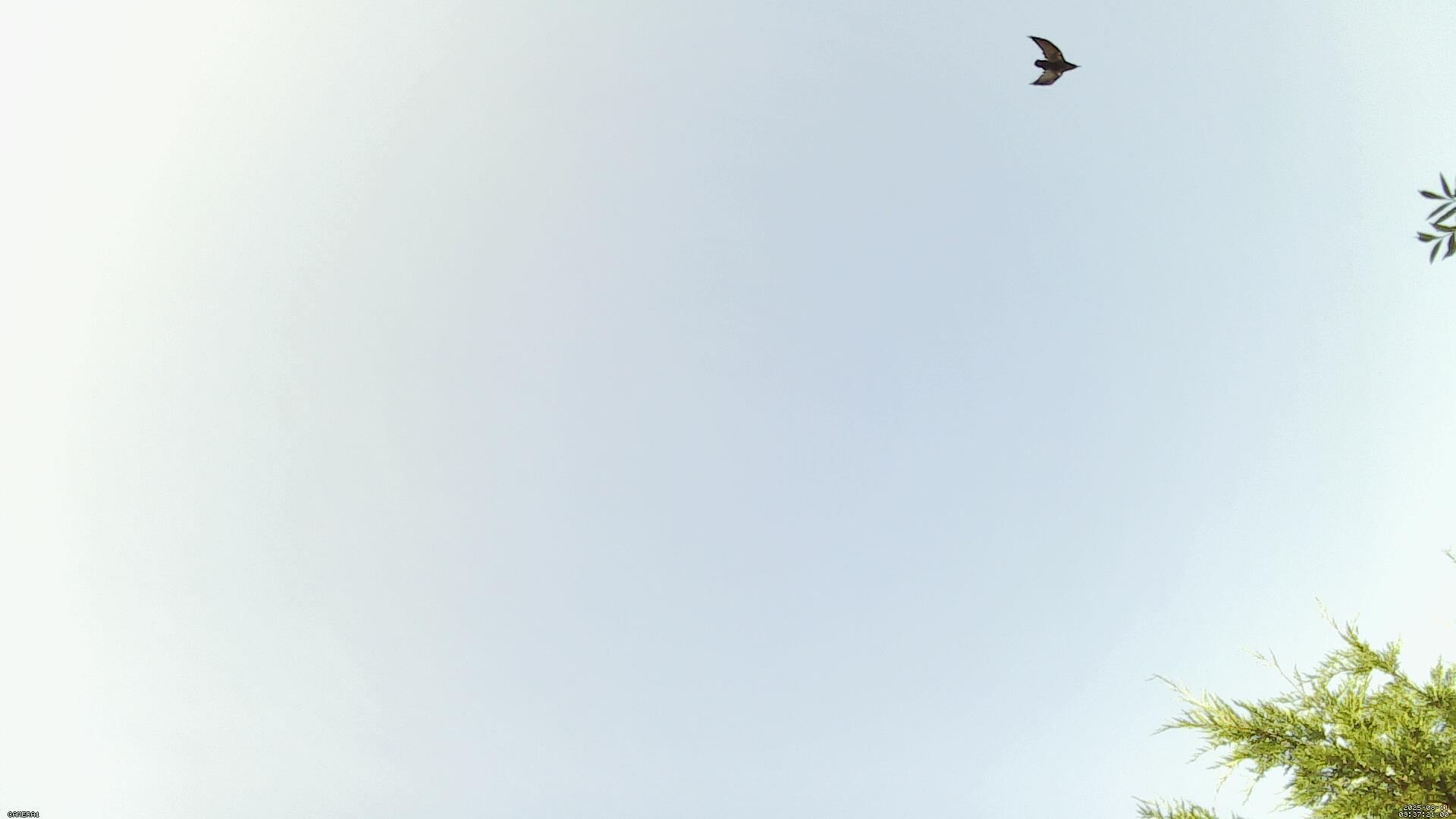 Sky photo 183