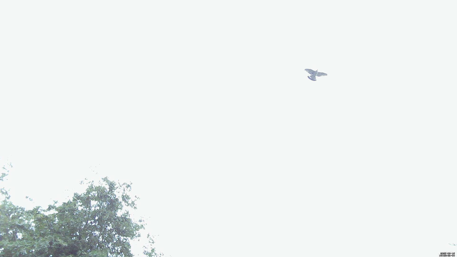 Sky photo 156