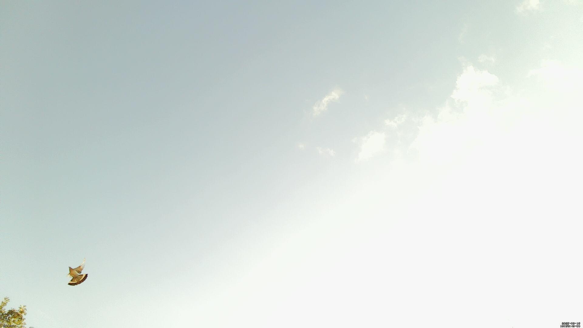 Sky photo 97