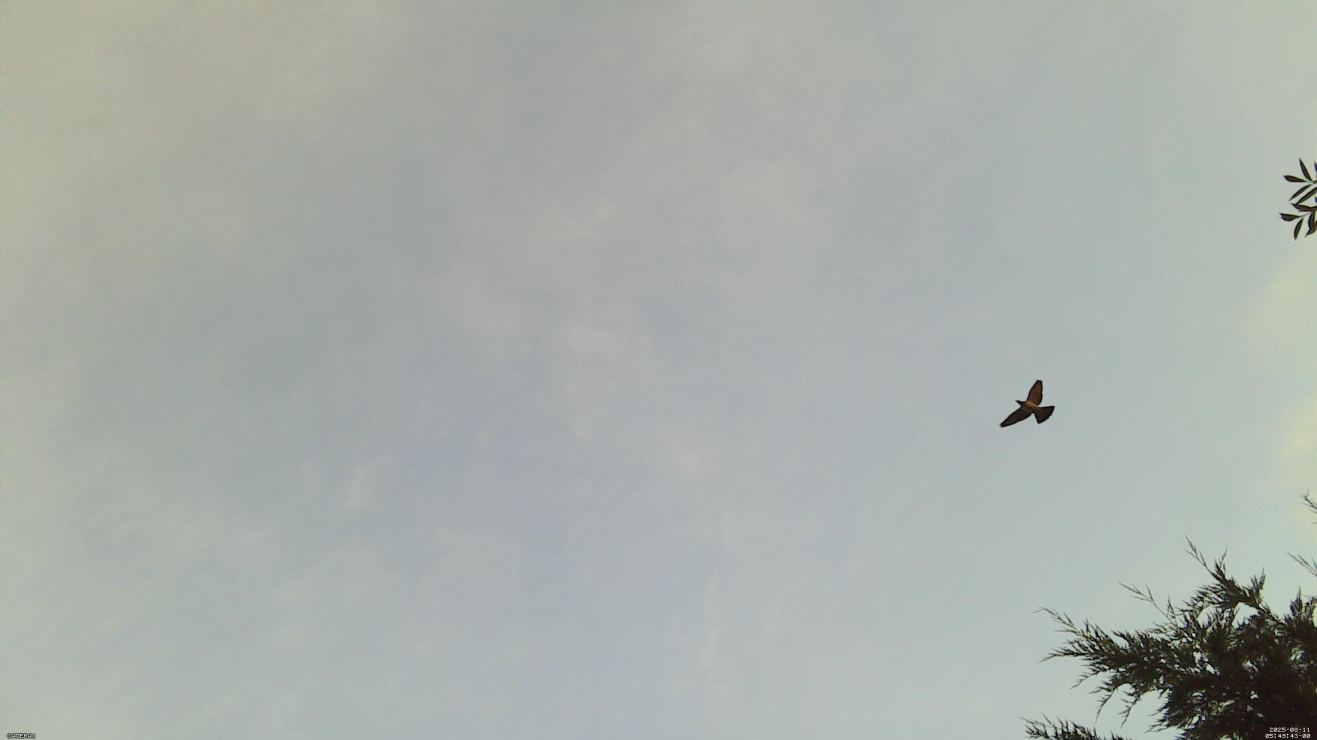 Sky photo 84