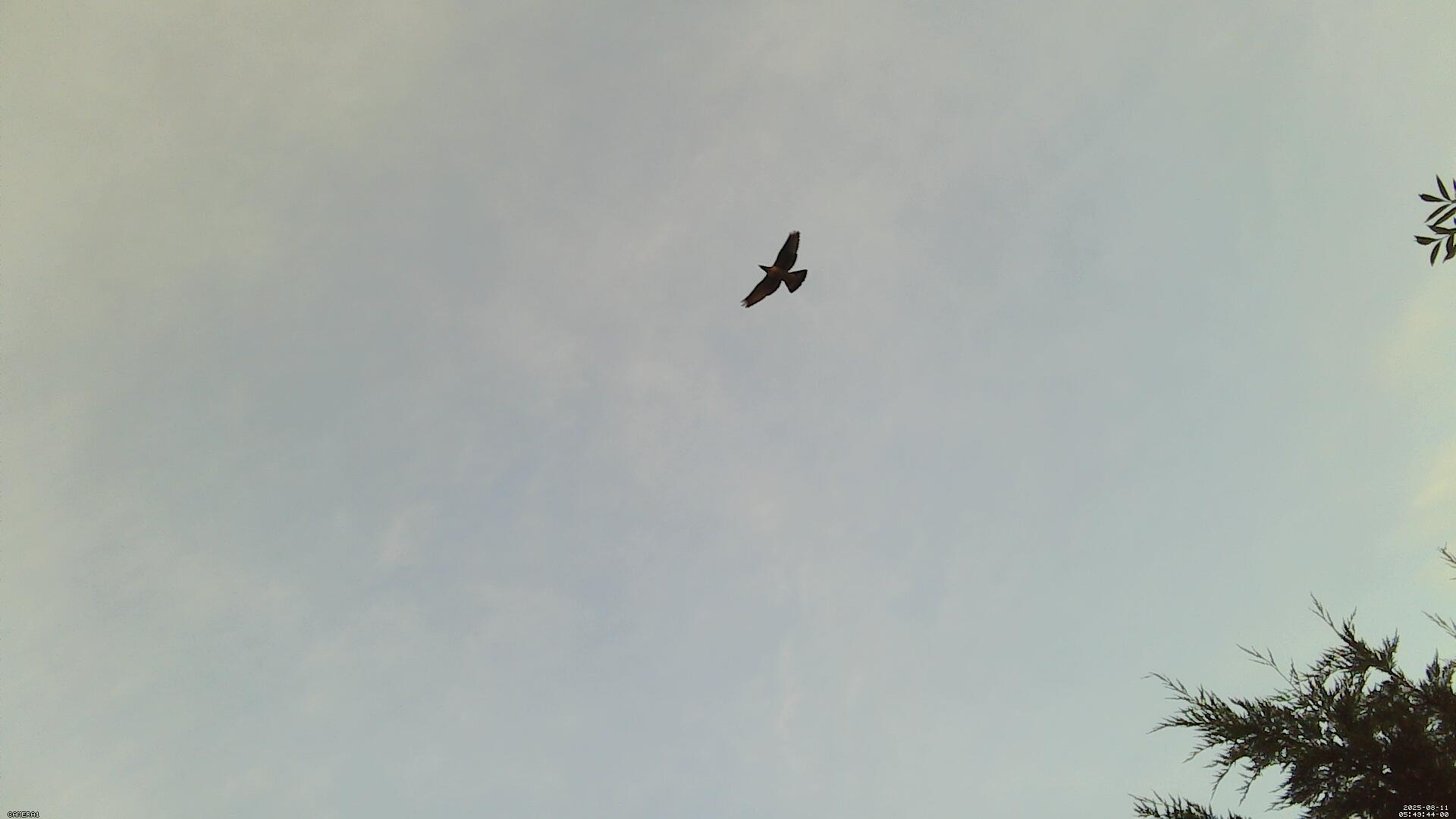 Sky photo 83