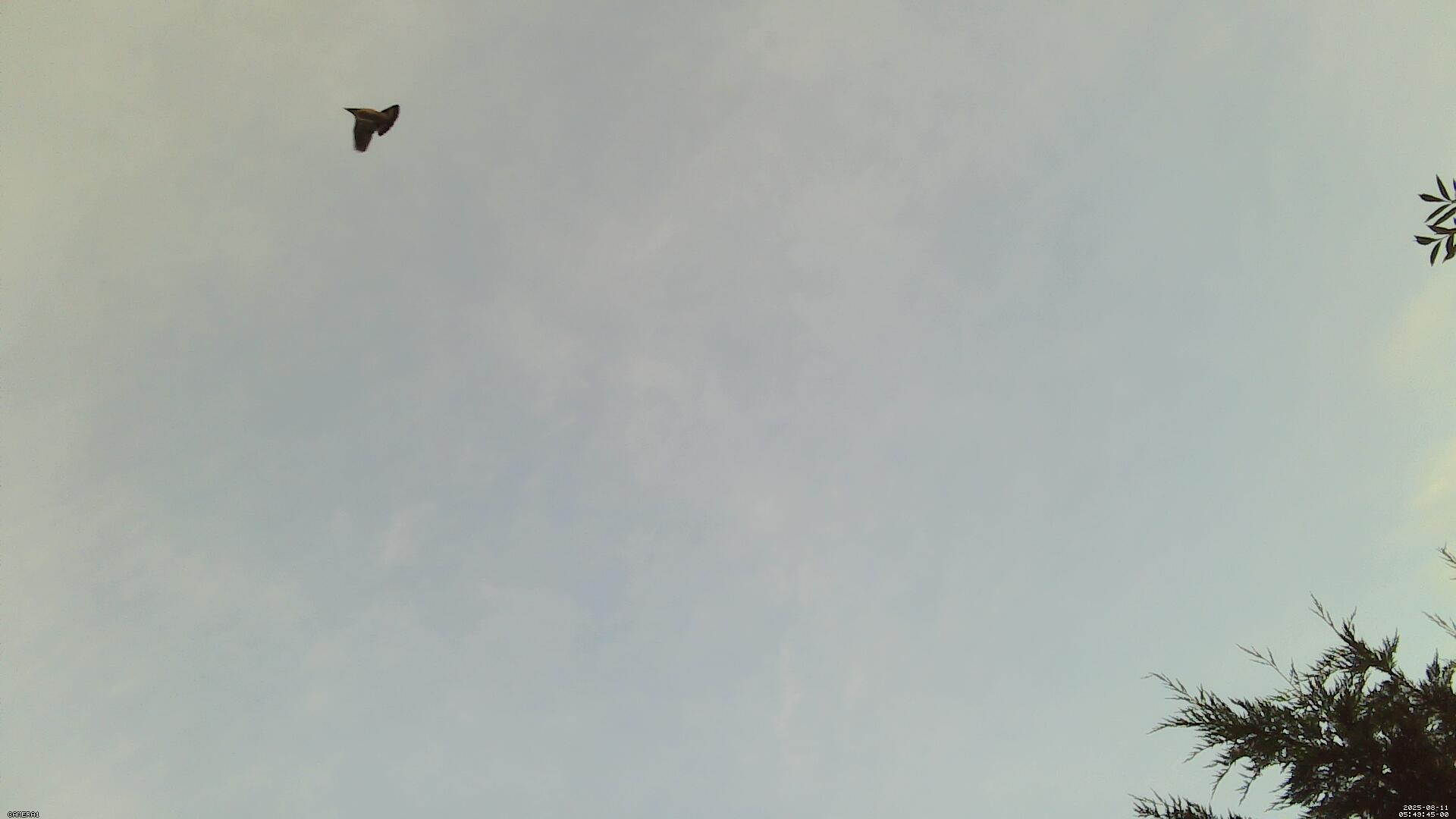 Sky photo 81