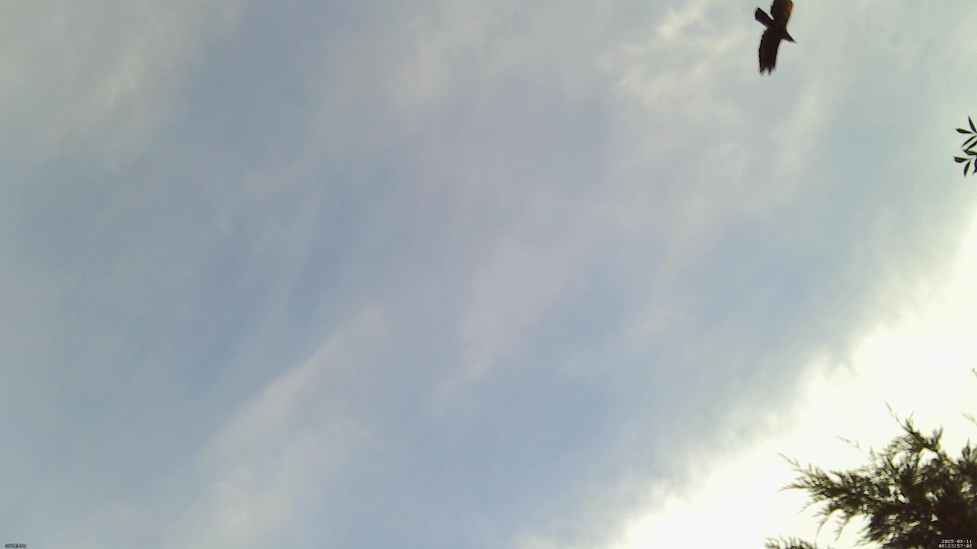 Sky photo 77
