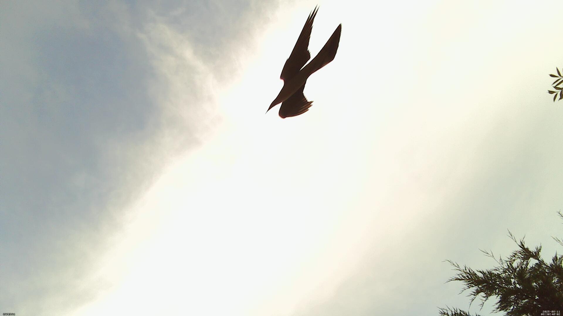 Sky photo 73
