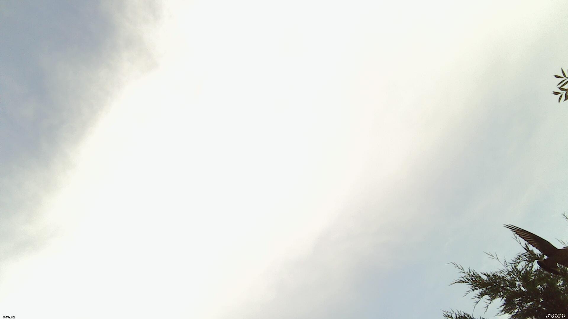 Sky photo 69