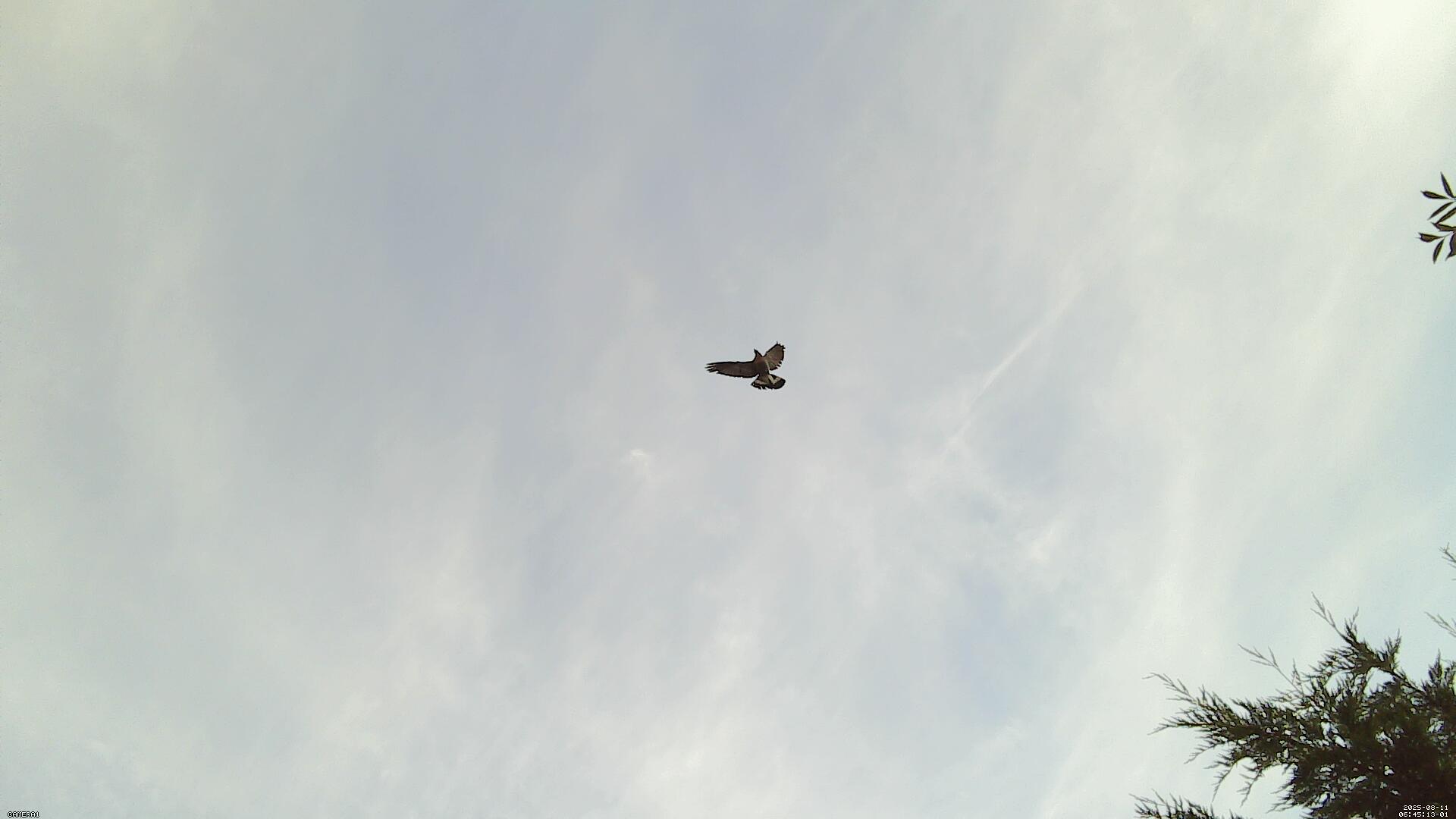 Sky photo 66