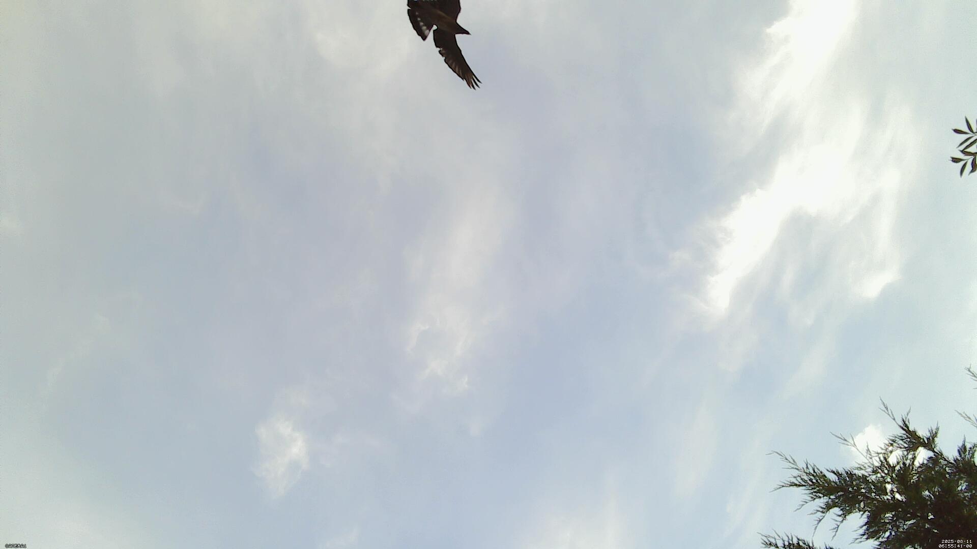 Sky photo 61