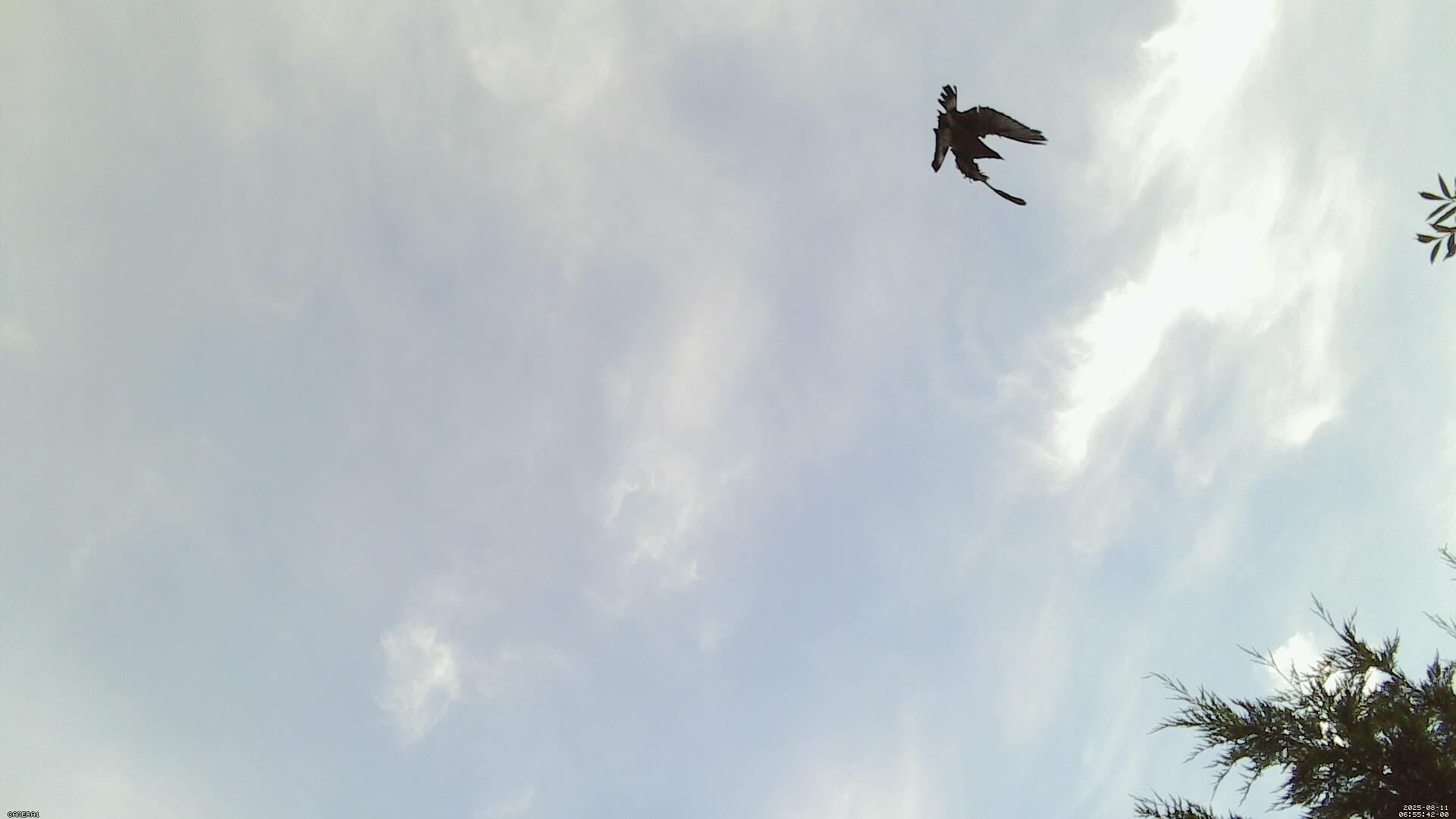 Sky photo 60