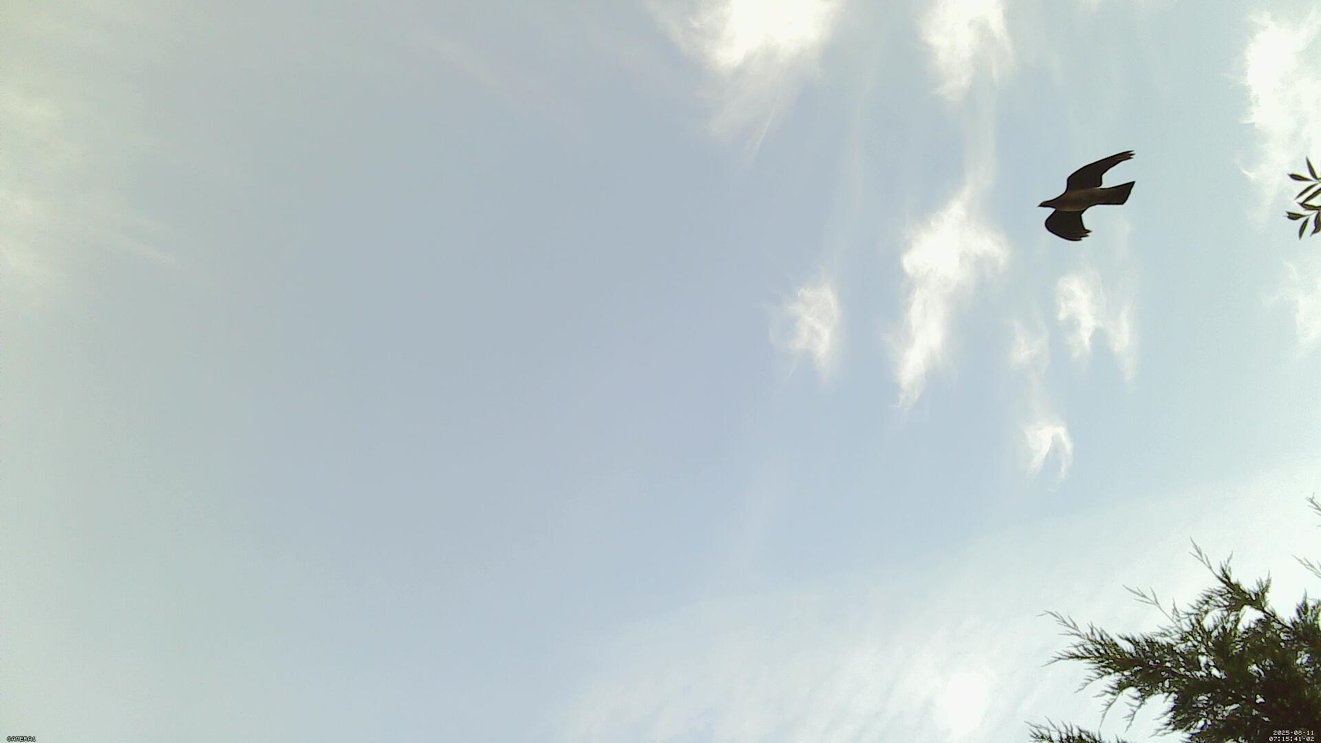 Sky photo 56