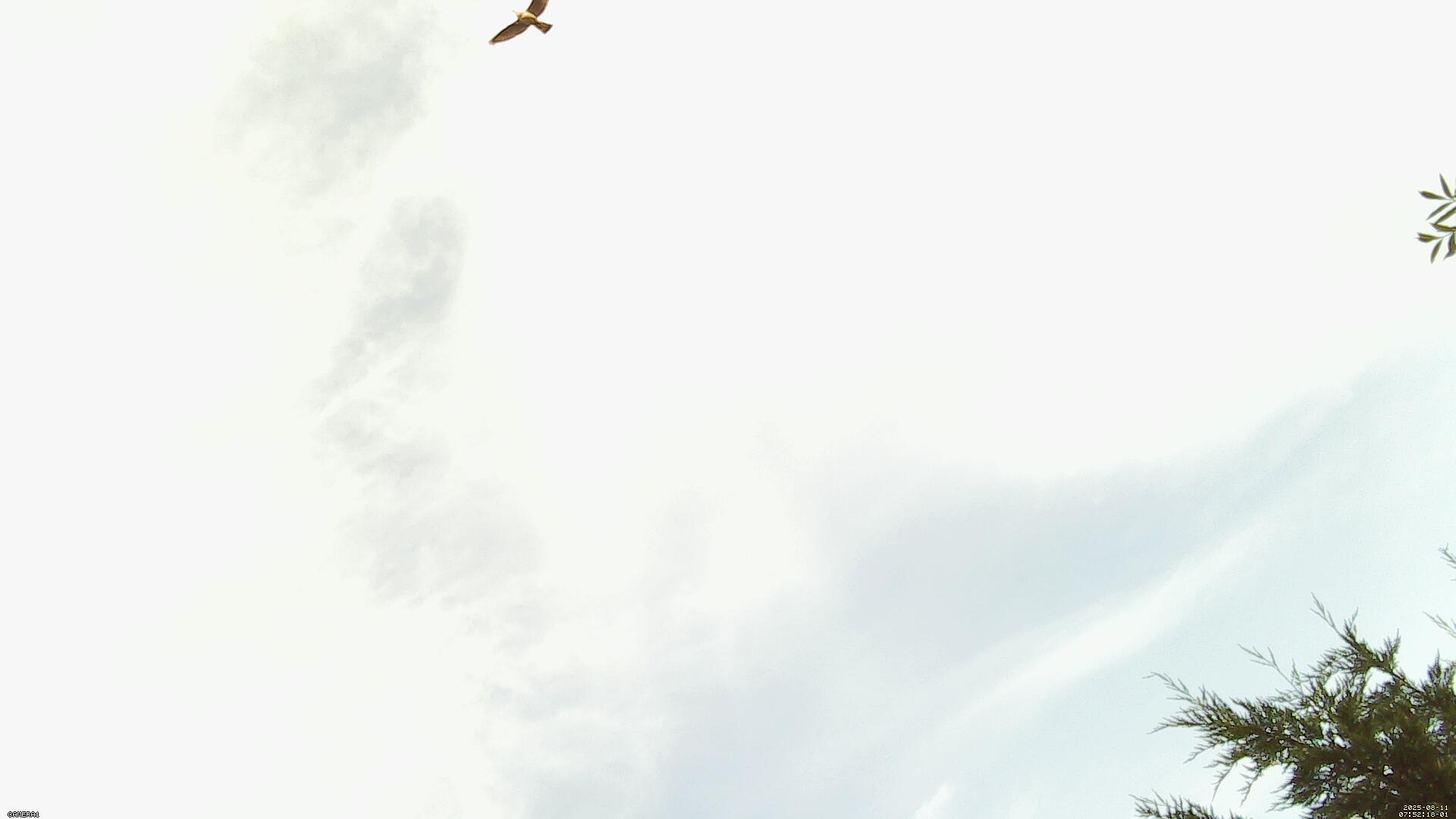 Sky photo 53