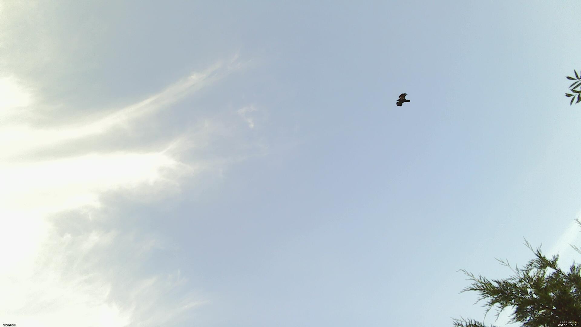 Sky photo 50