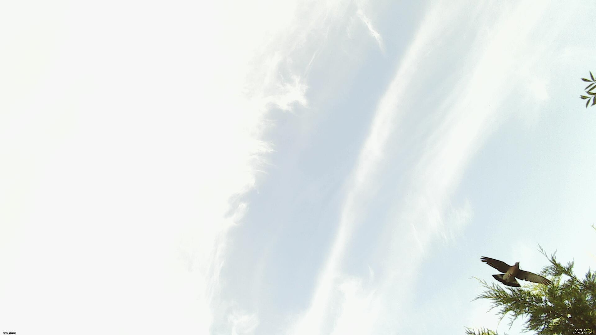 Sky photo 40