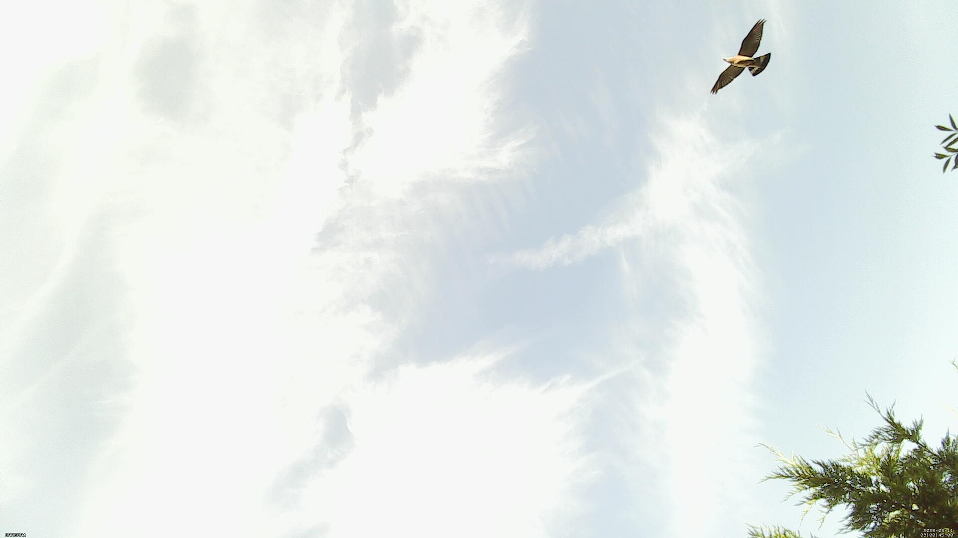 Sky photo 36