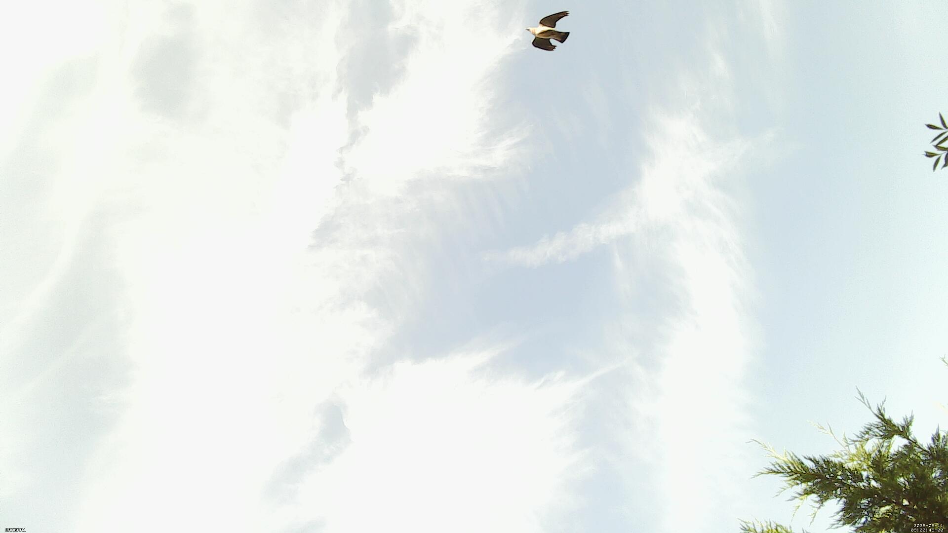 Sky photo 35