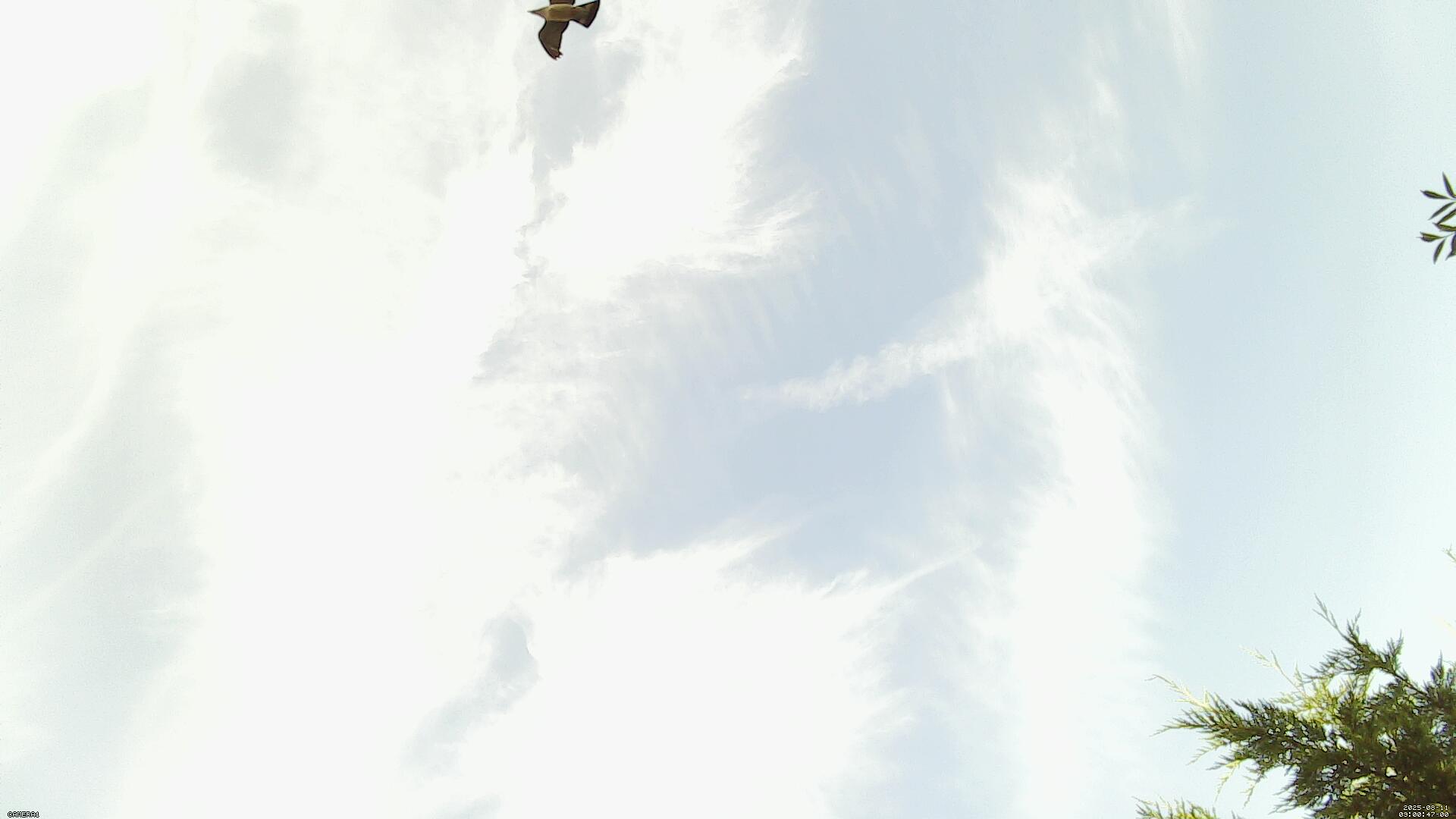 Sky photo 34