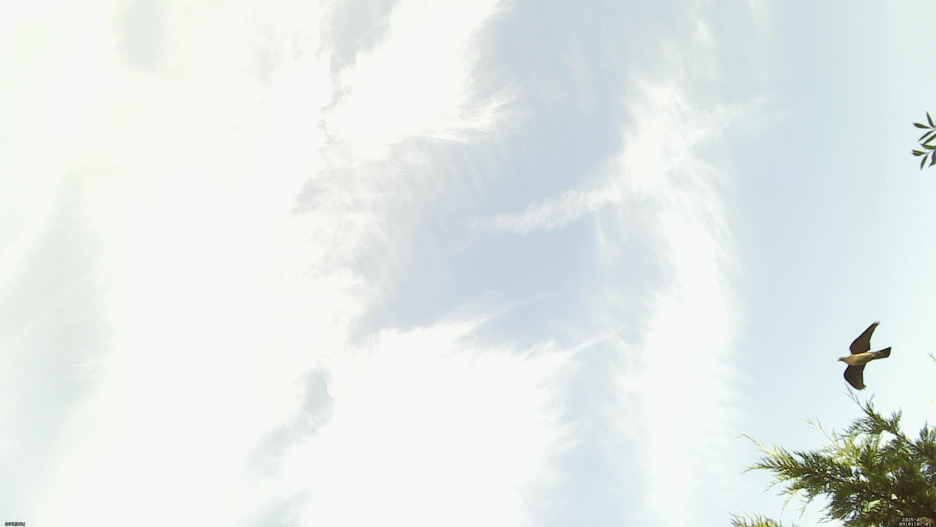 Sky photo 30