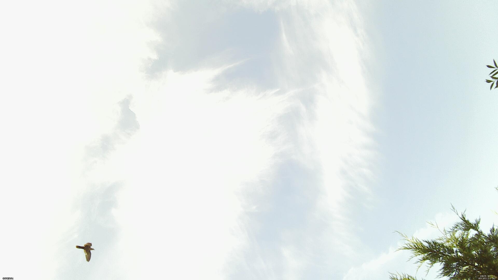 Sky photo 26