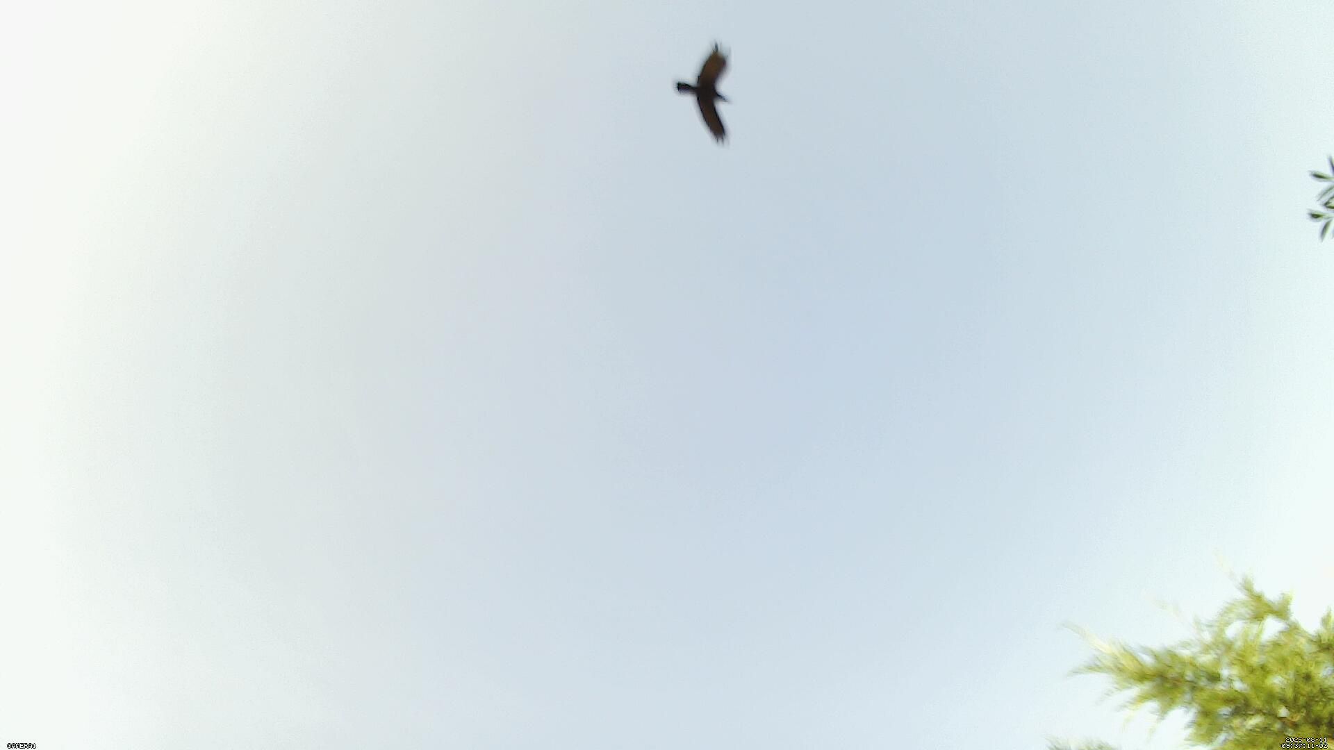 Sky photo 25