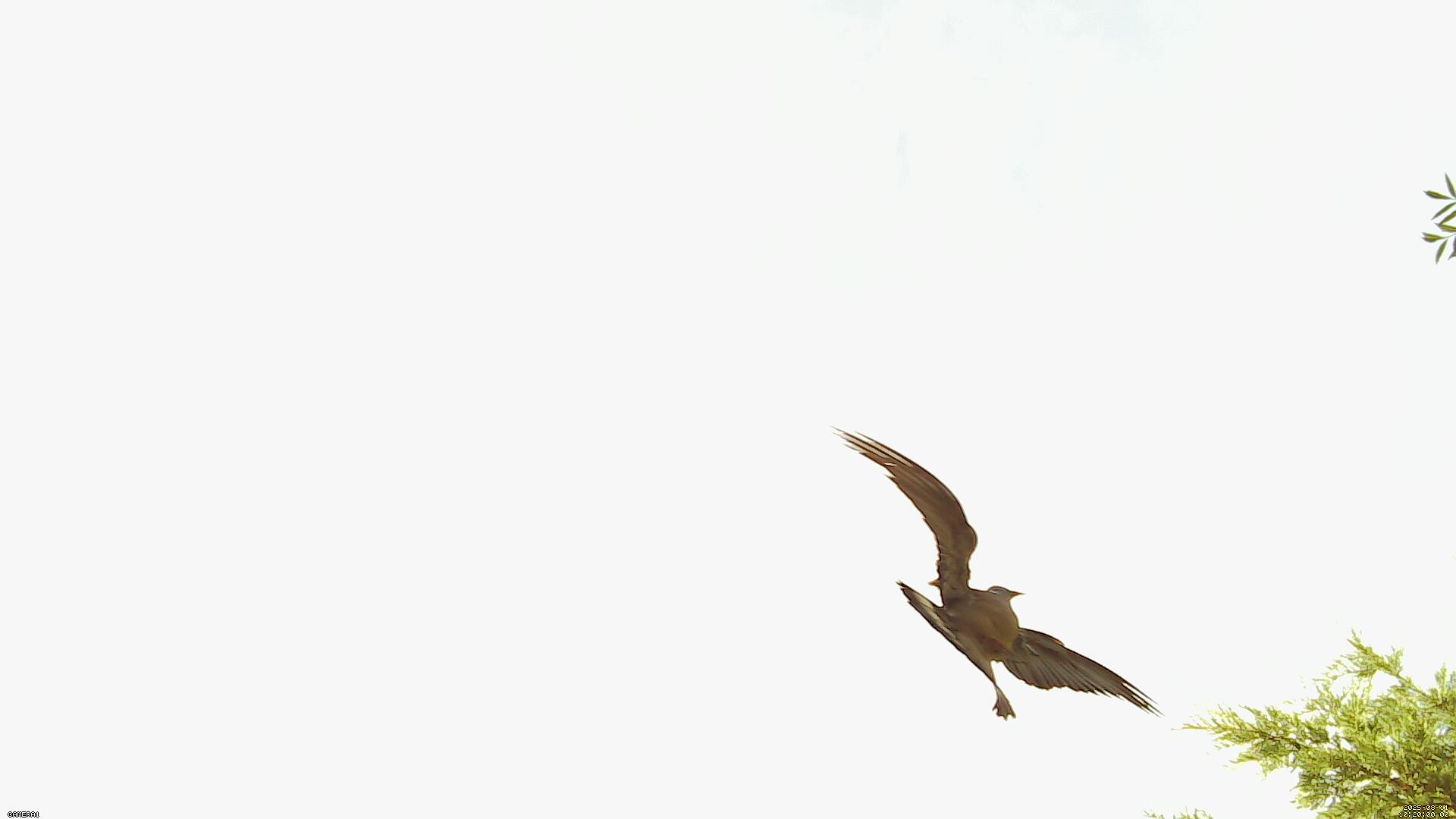 Sky photo 24