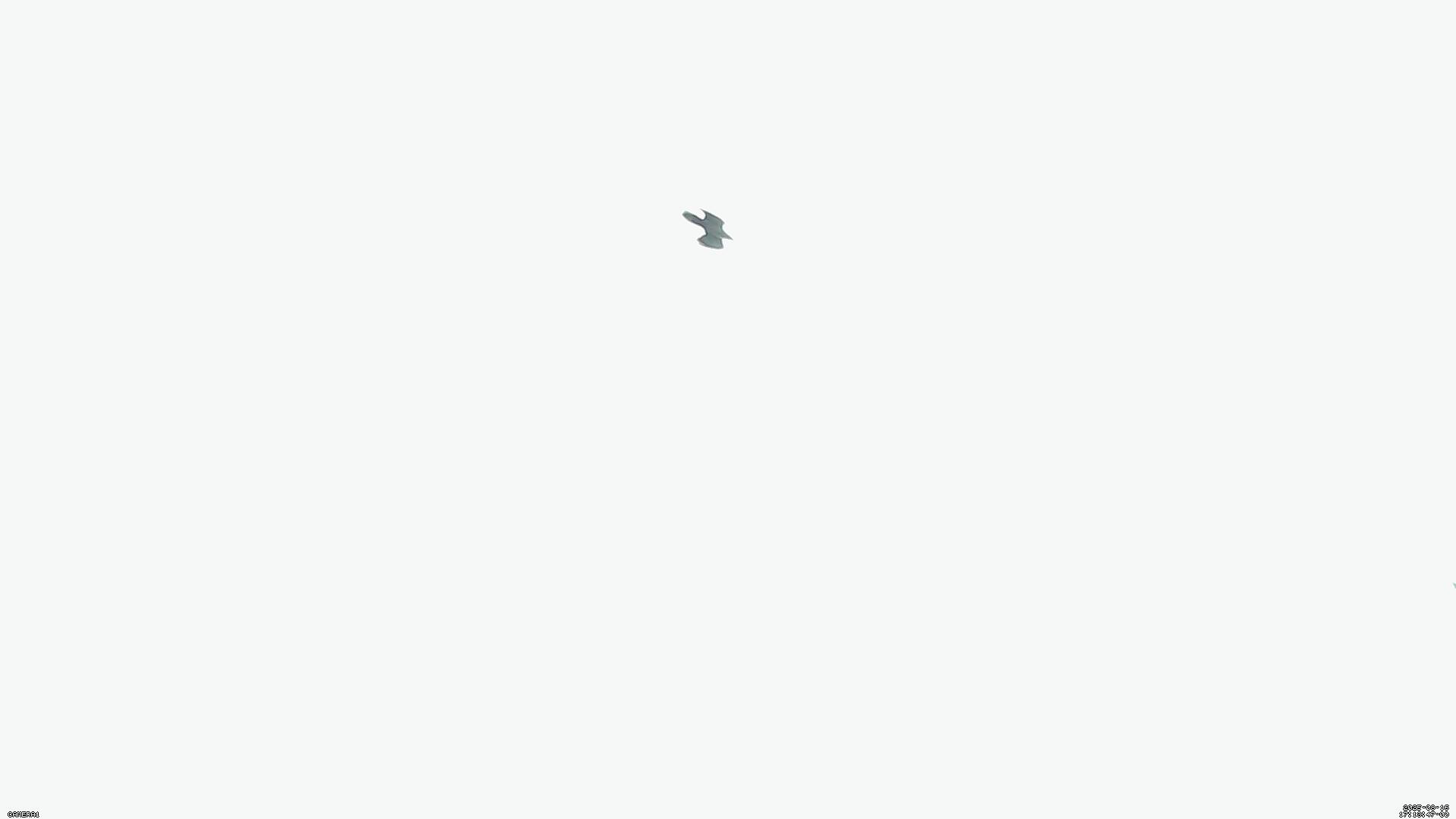 Sky photo 15