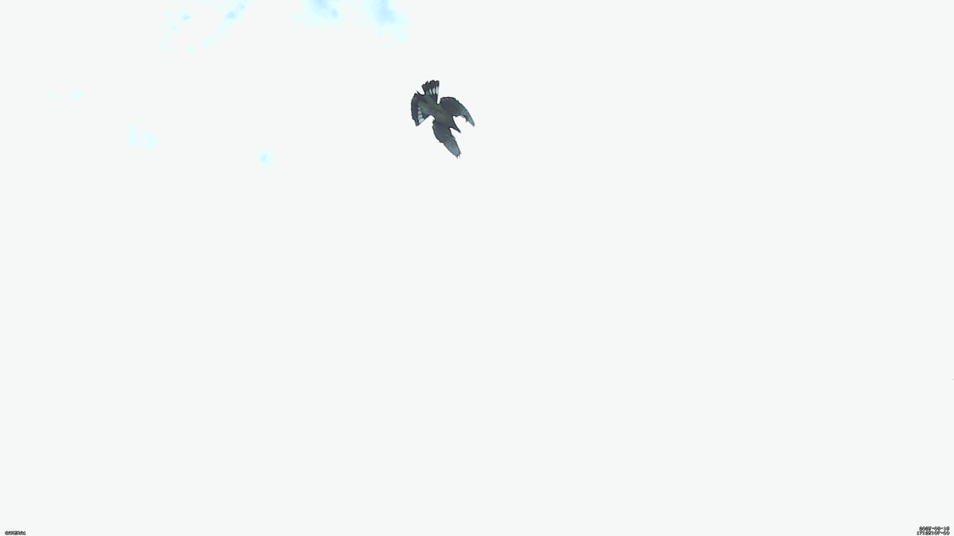 Sky photo 14