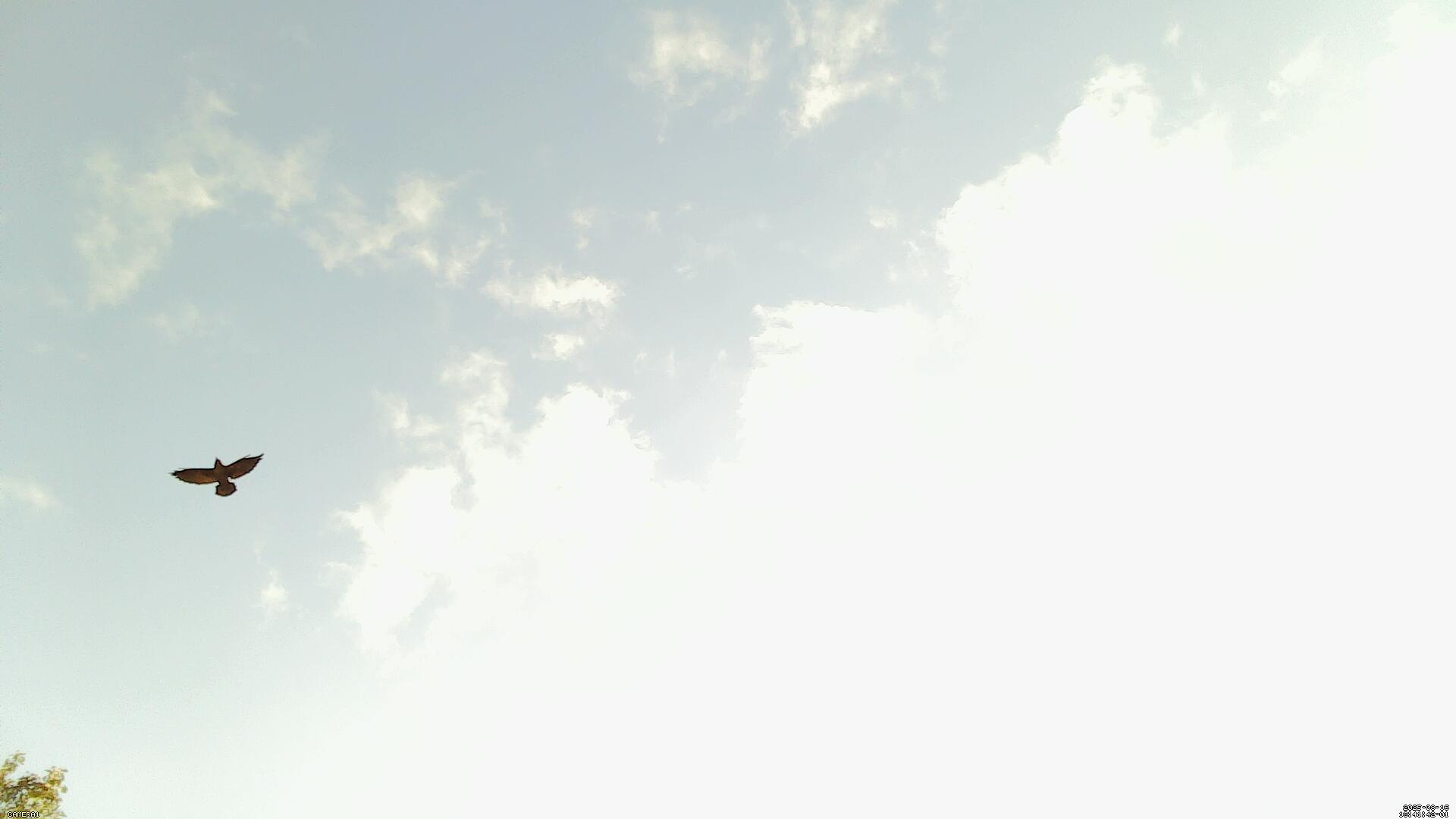 Sky photo 10