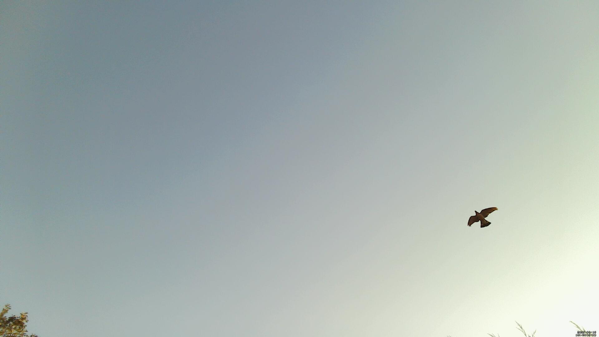 Sky photo 8