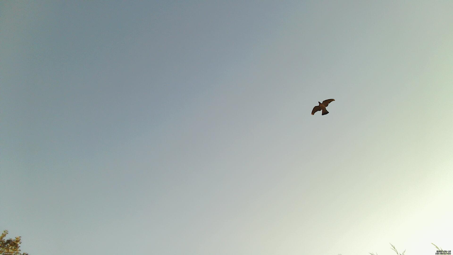 Sky photo 7