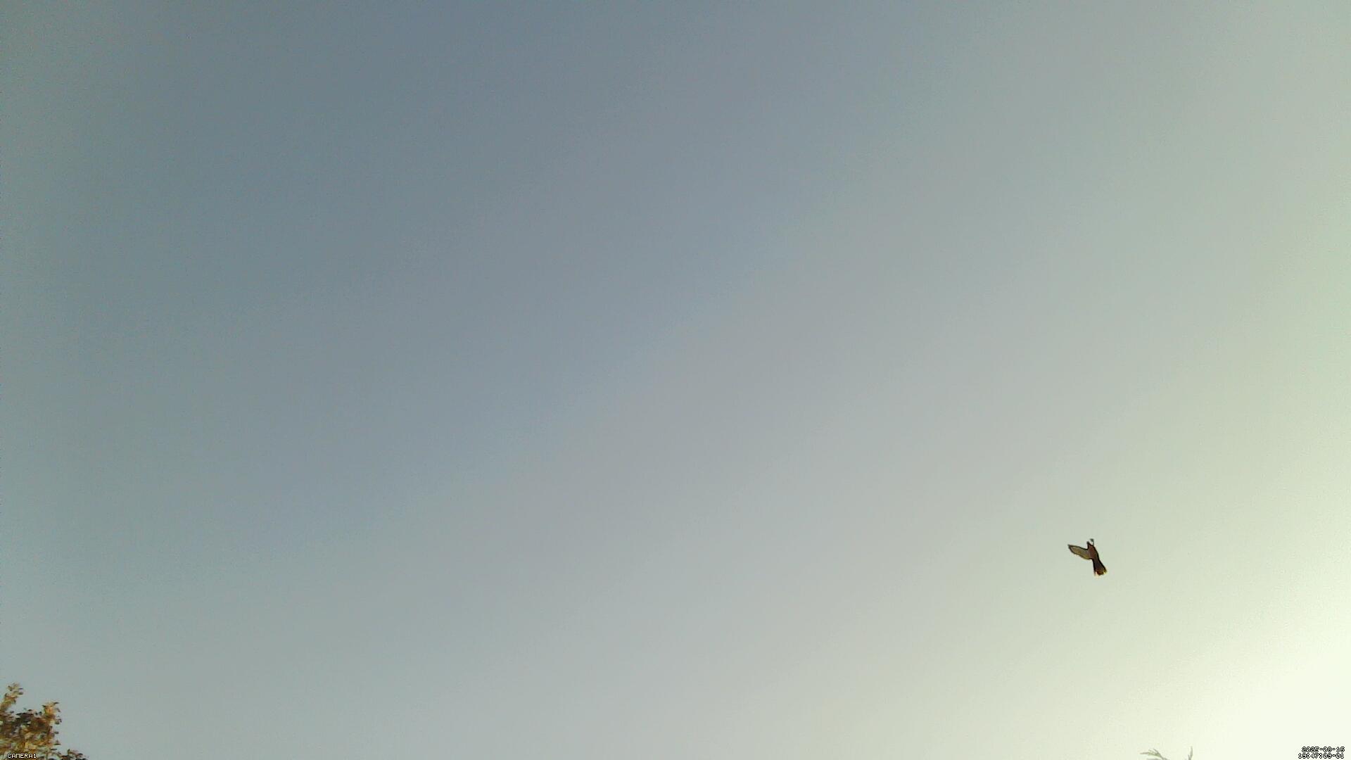 Sky photo 6
