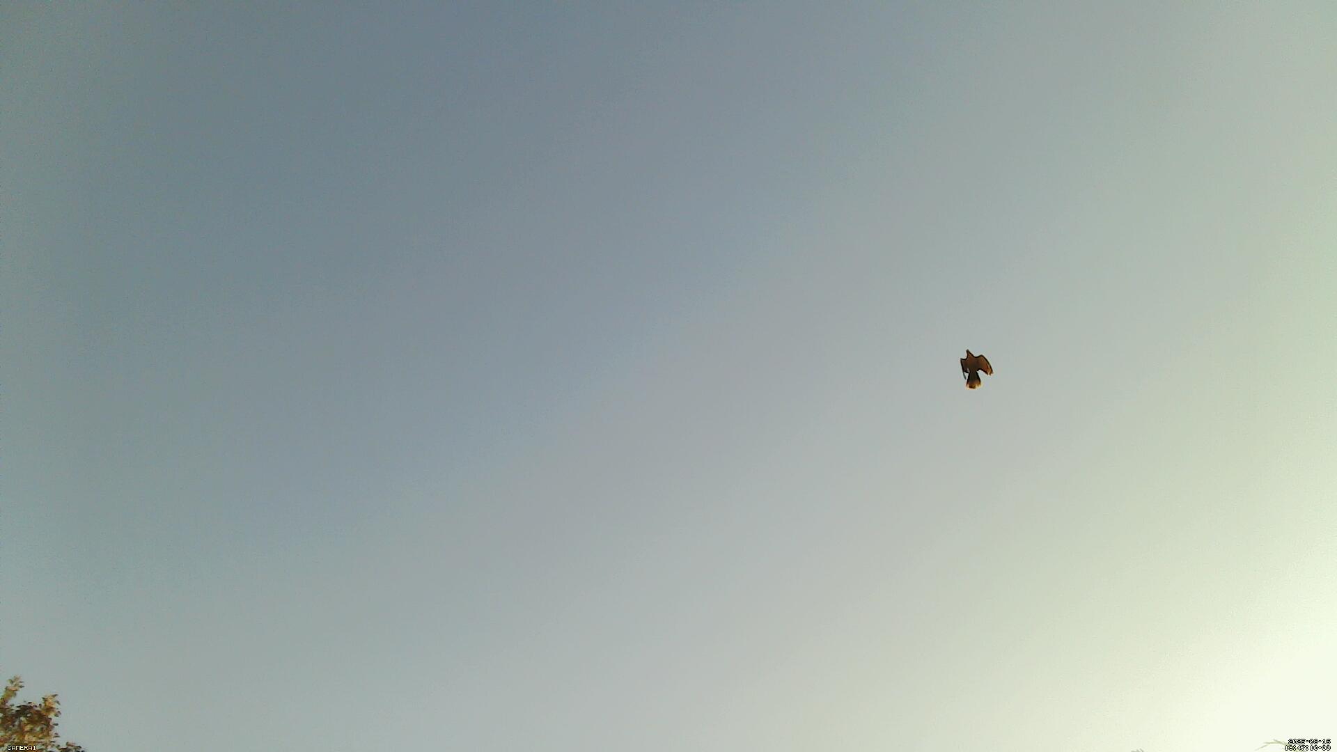 Sky photo 5