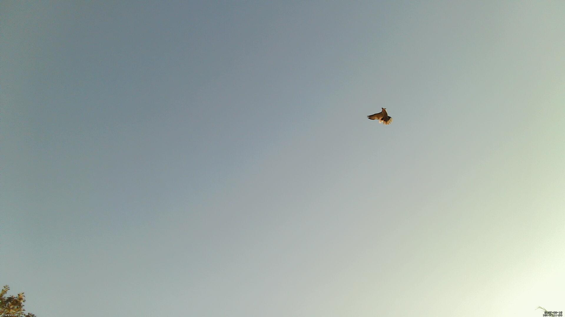 Sky photo 4