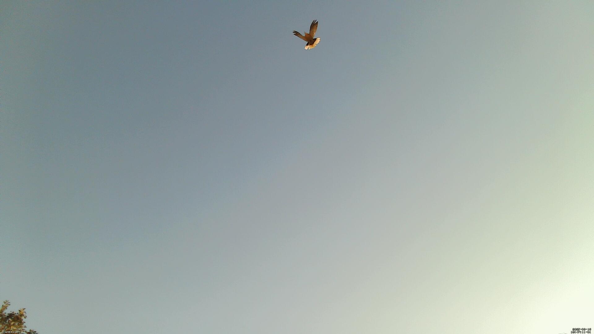 Sky photo 3