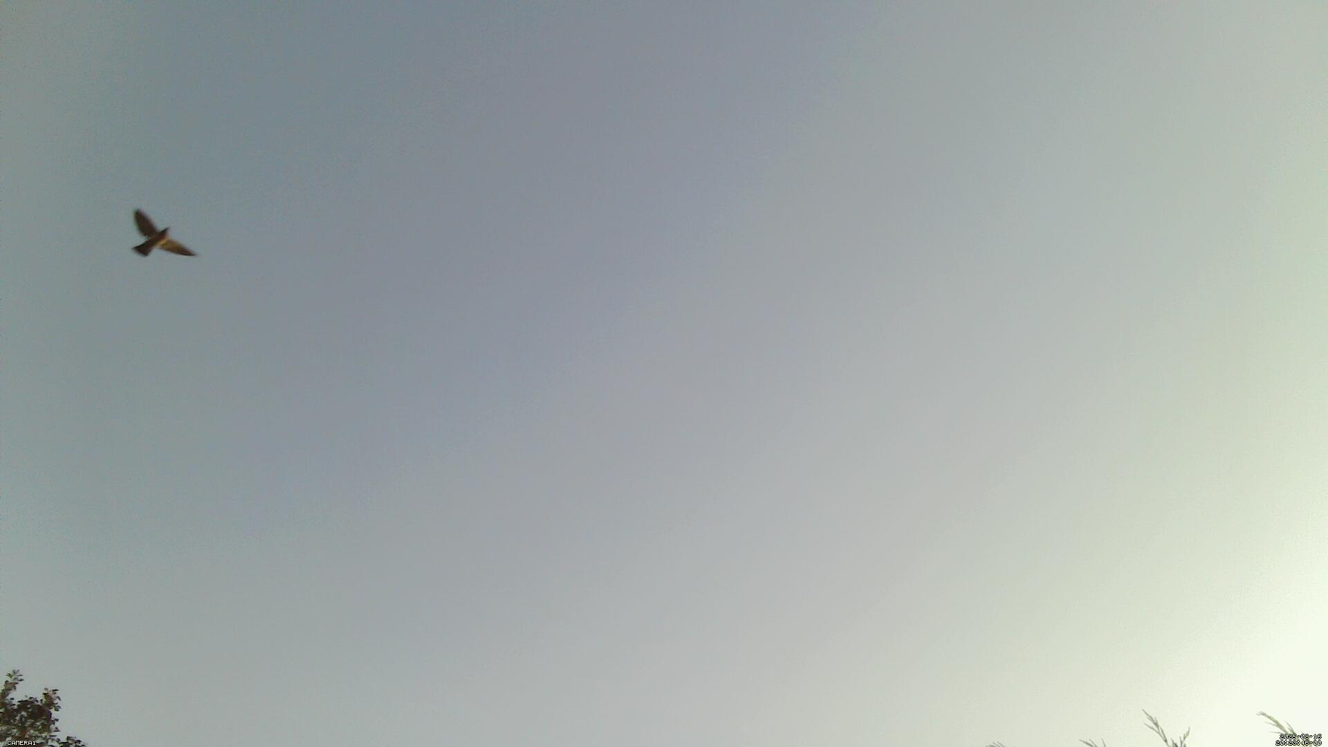 Sky photo 2