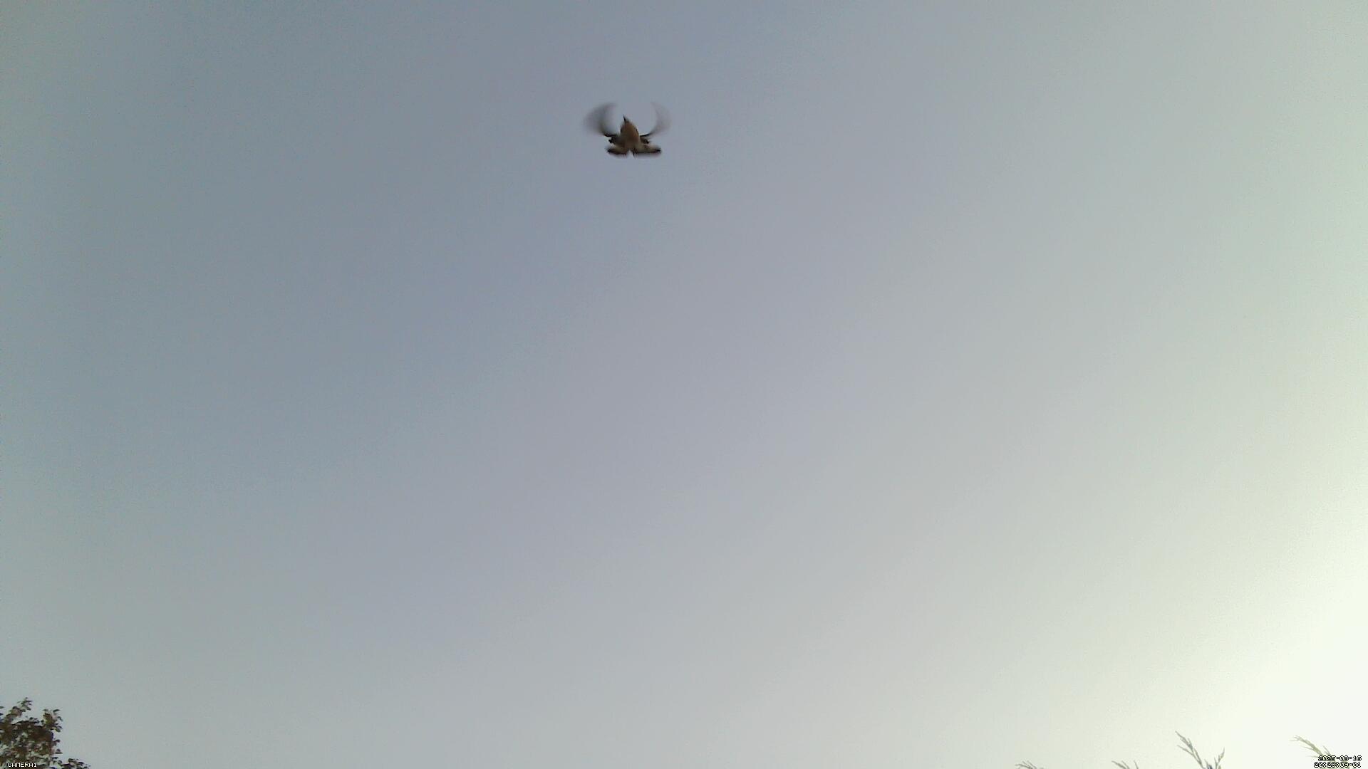 Sky photo 1